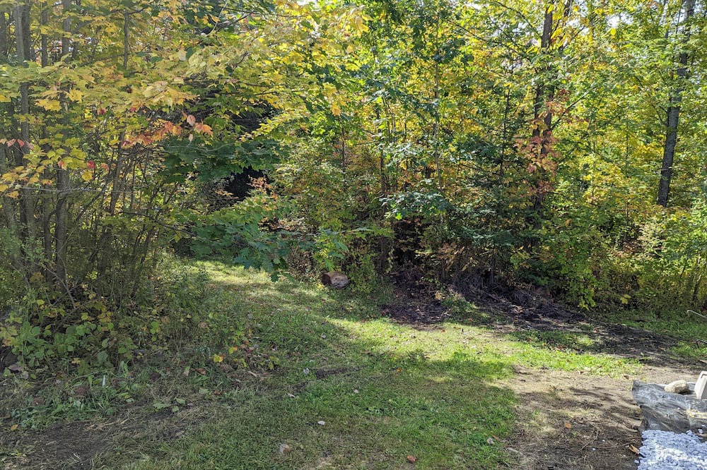 Photo of Others in New London