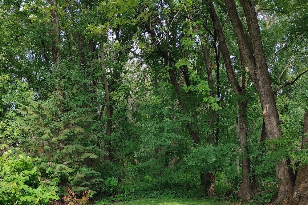 Photo of Outdoor in Vadnais Heights