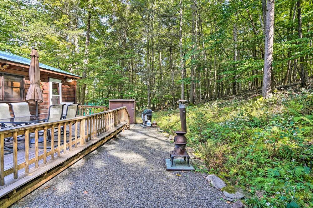 Photo of Outdoor in East Durham