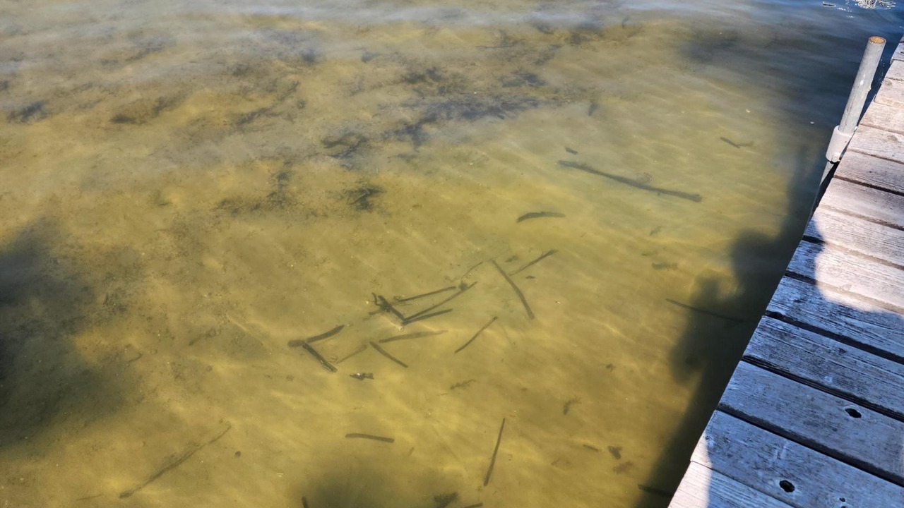 Photo of Others in Cass Lake