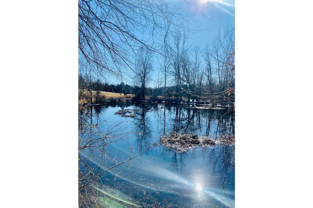 Photo of Outdoor in Pangburn