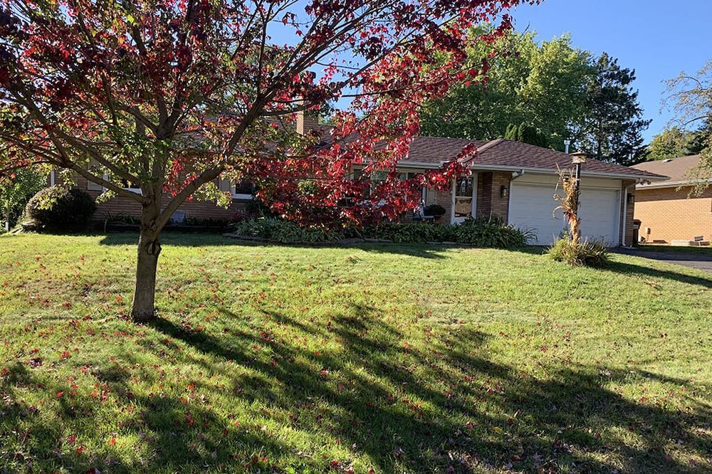 Photo of Outdoor in Maplewood