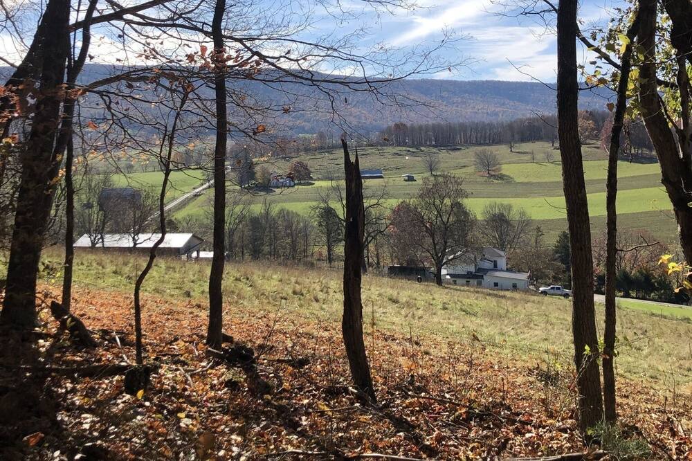 Photo of Outdoor in Gap Mills