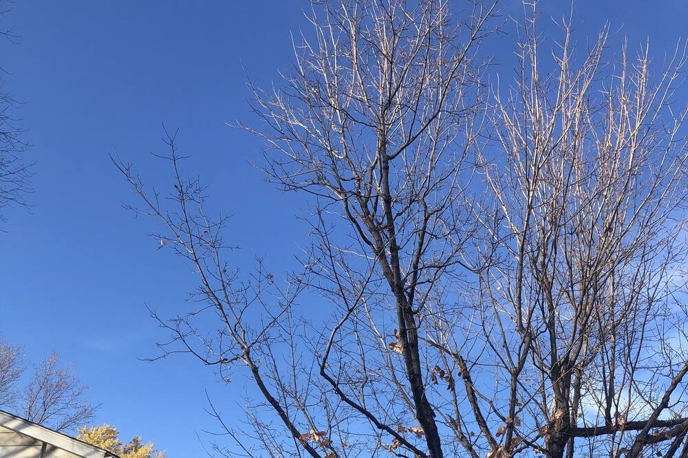 Photo of Outdoor in West Bloomington