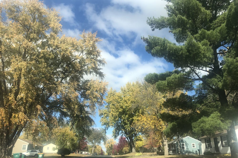 Photo of Outdoor in West Bloomington