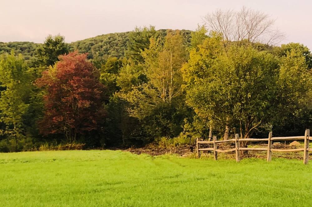 Photo of Outdoor in Westford