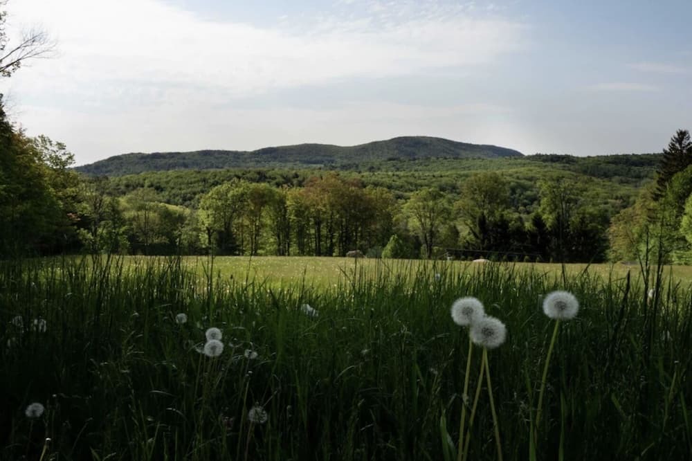 Photo of Outdoor in West Stockbridge