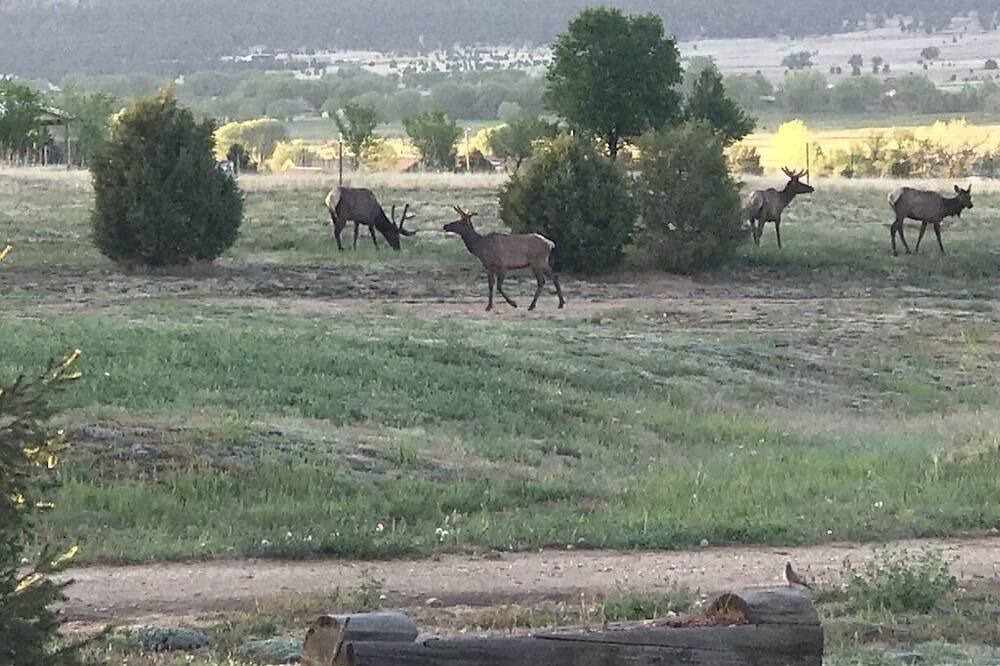 Photo of Outdoor in Holman