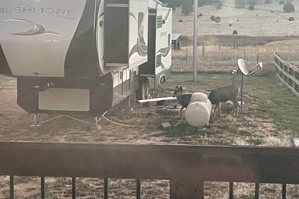 Photo of Others in Holman