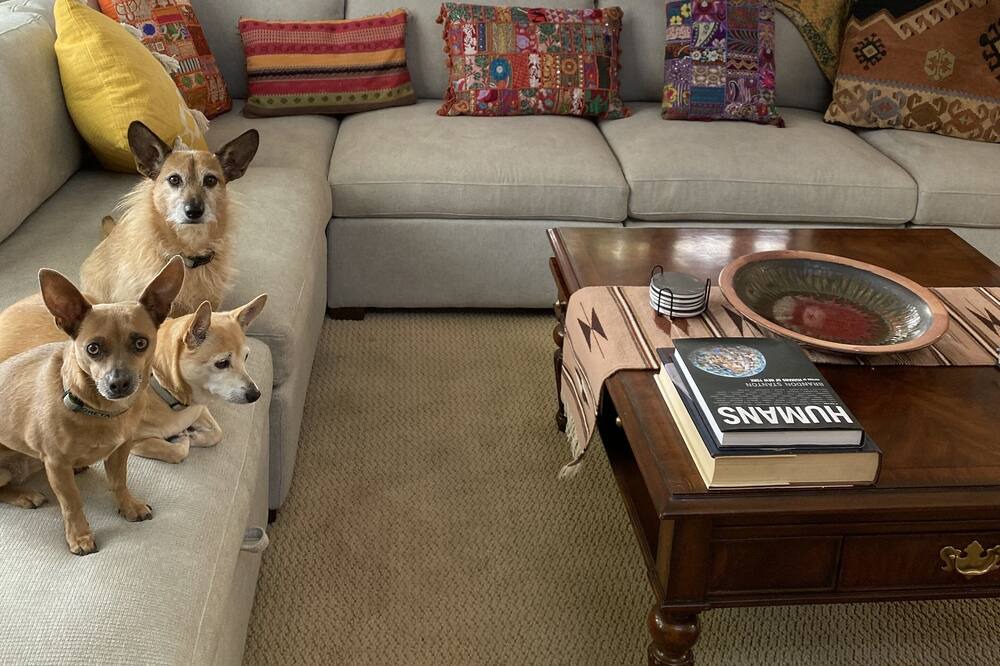 Photo of Livingroom in Southside
