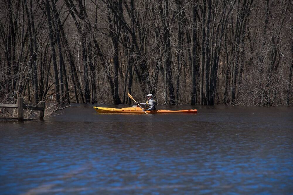 Photo of Others in Somerset