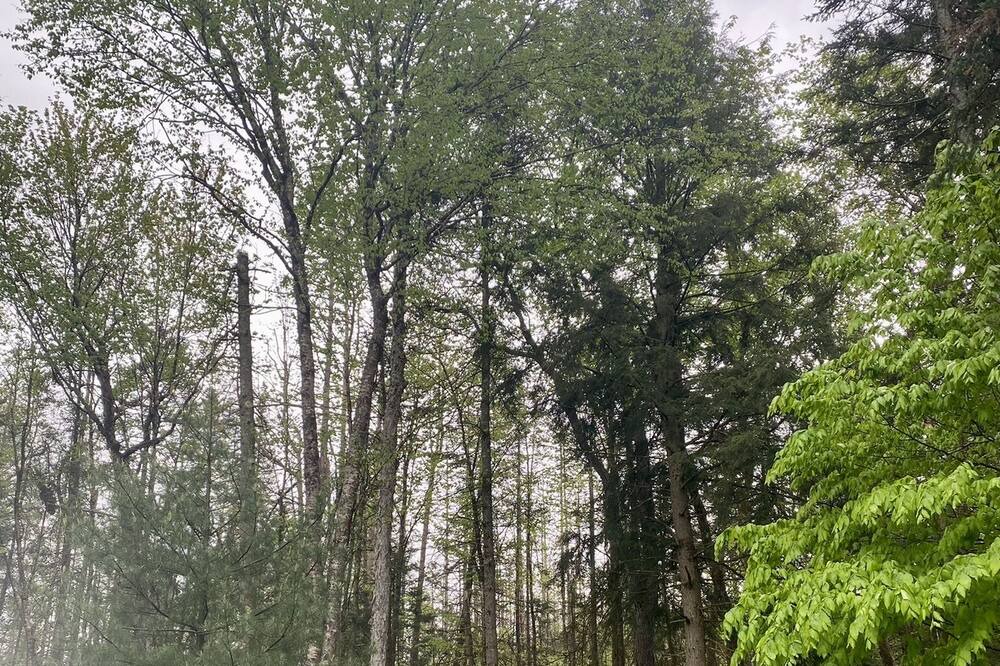 Photo of Outdoor in Woodgate