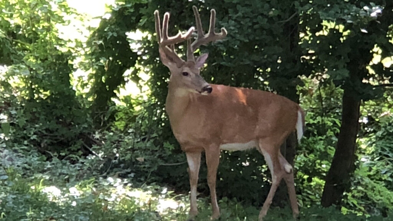 Photo of Outdoor in Turin