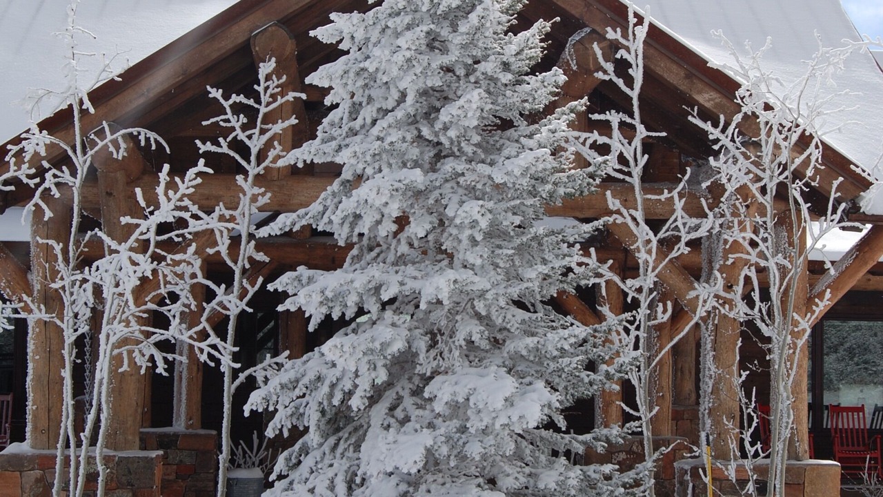 Photo of Outdoor in Ribera