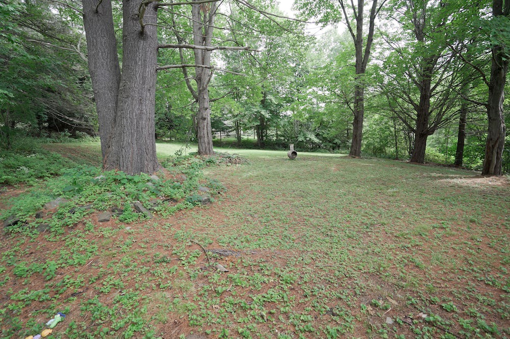 Photo of Others in Montpelier