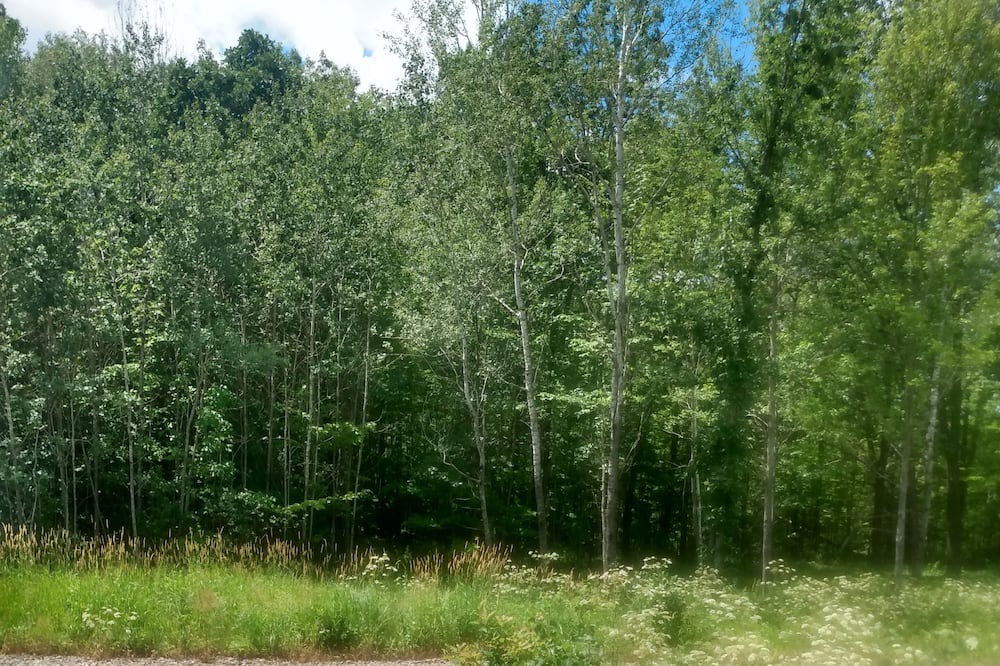 Photo of Outdoor in Brook Park