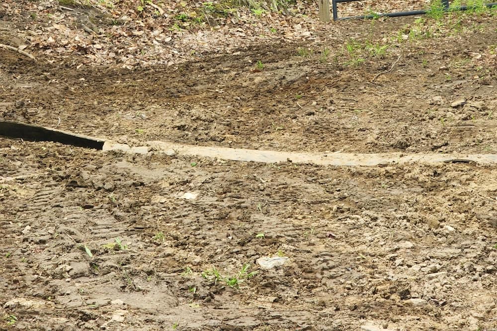 Photo of Outdoor in Errol