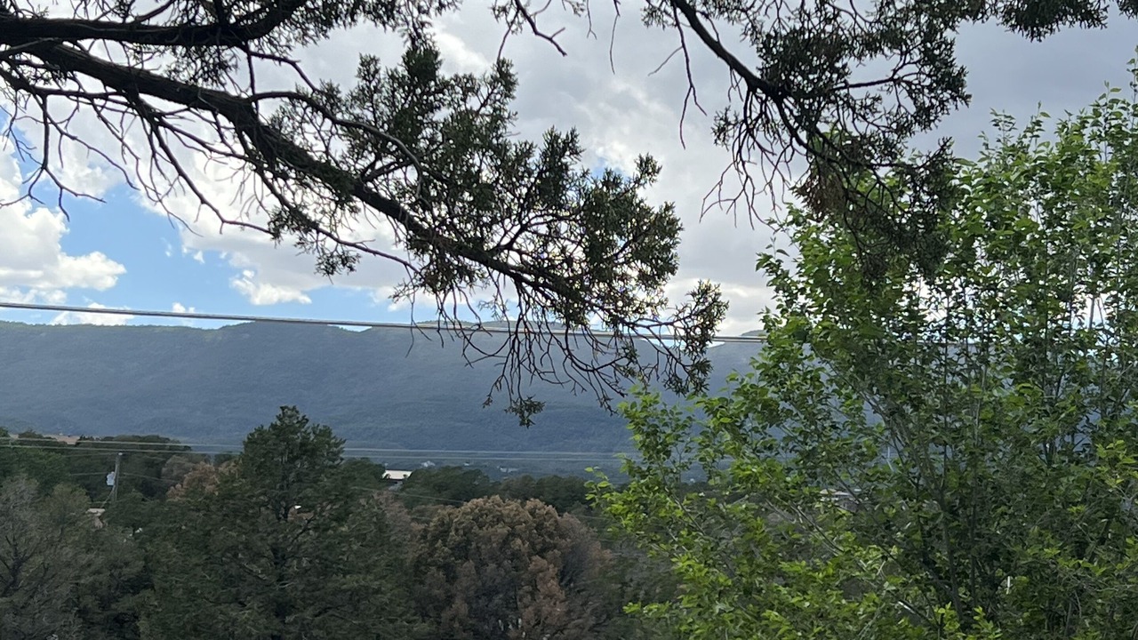 Photo of Others in Sandia Knolls