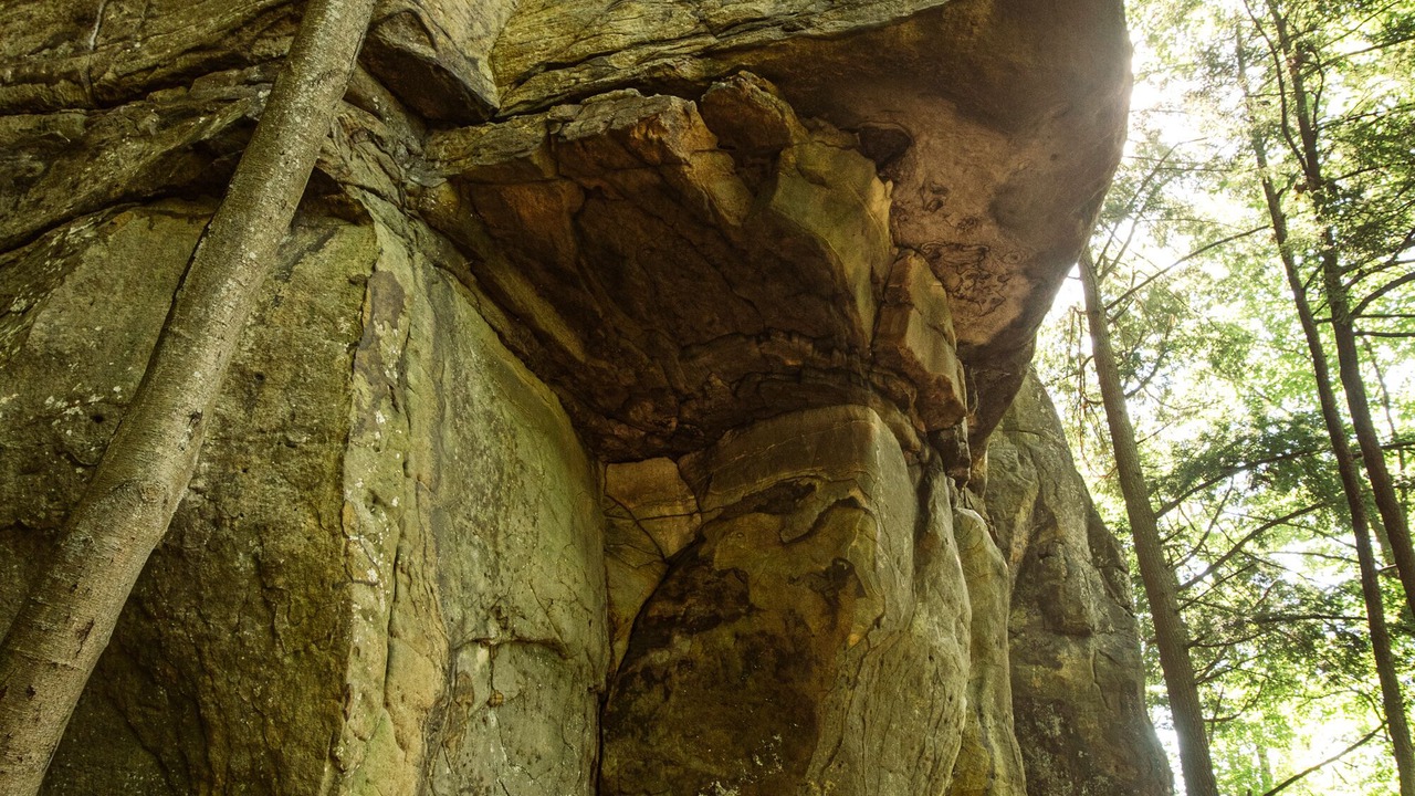 Photo of Outdoor in Lanark