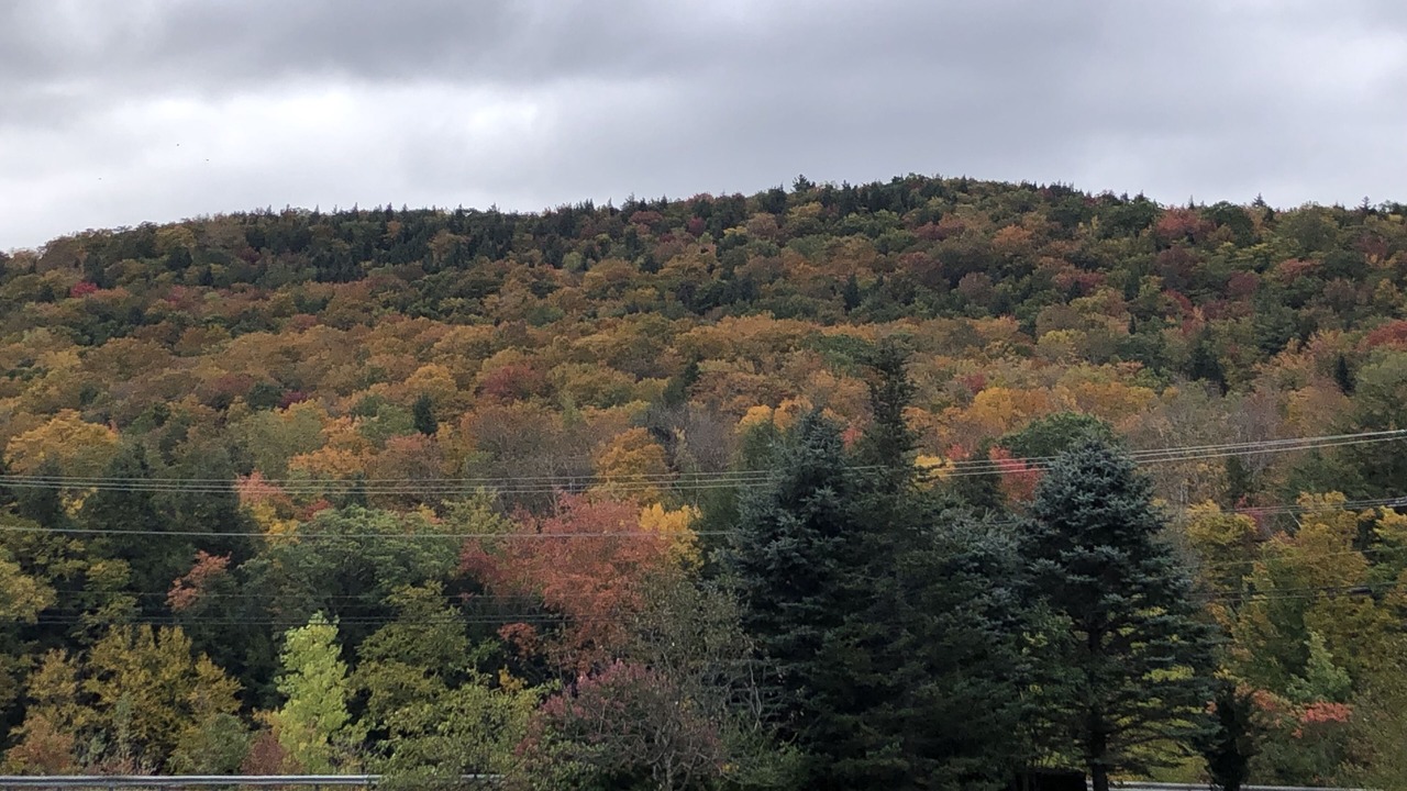 Photo of Outdoor in Wilmington