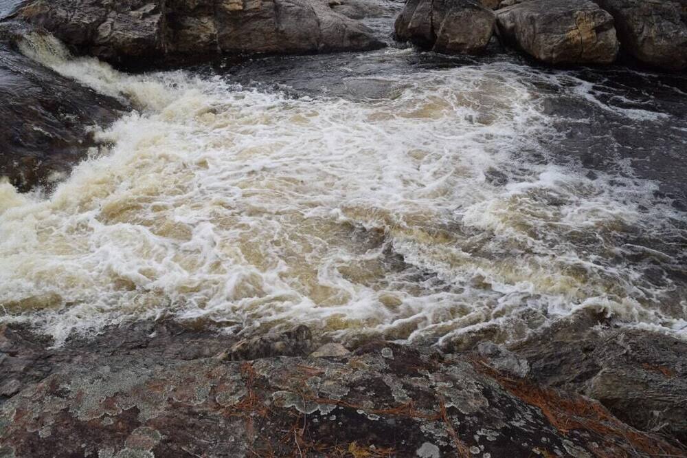 Photo of Others in Lyons Falls