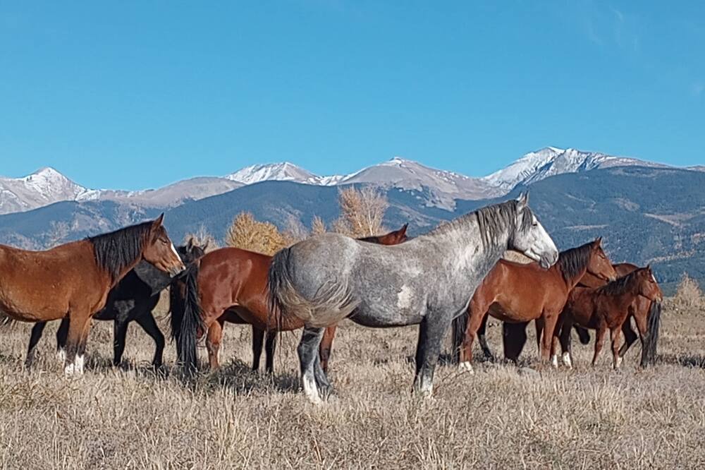 Photo of Others in Fort Garland