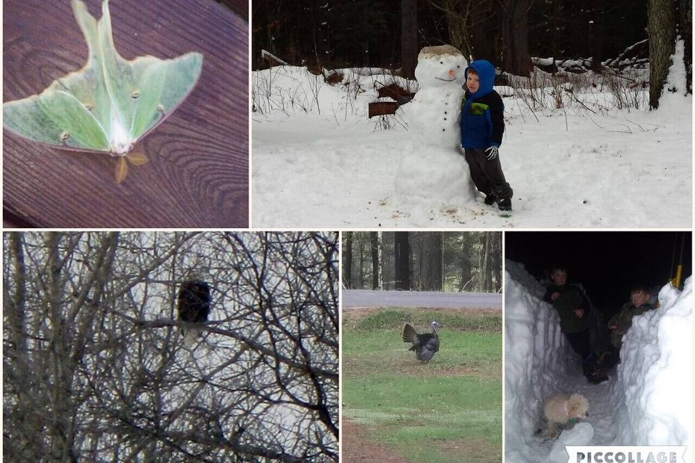 Photo of Others in Forestport