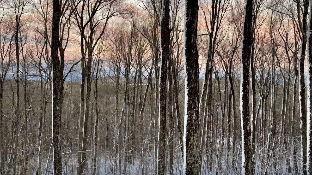 Photo of Others in Windham