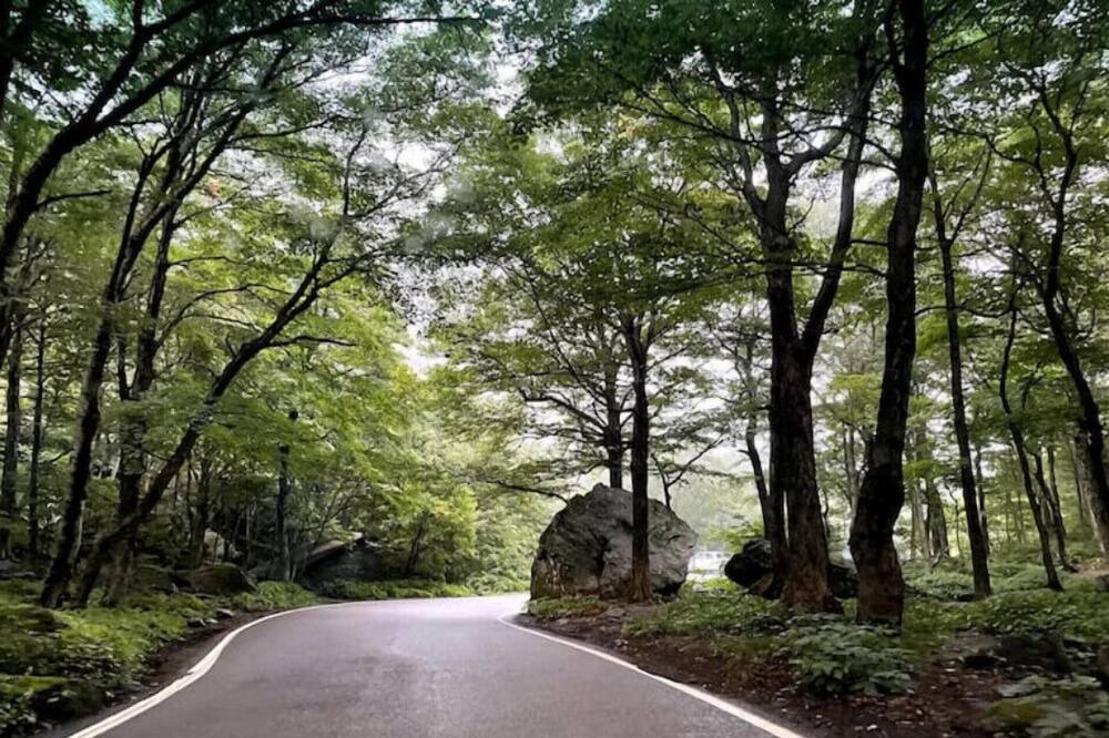 Photo of Outdoor in Westford