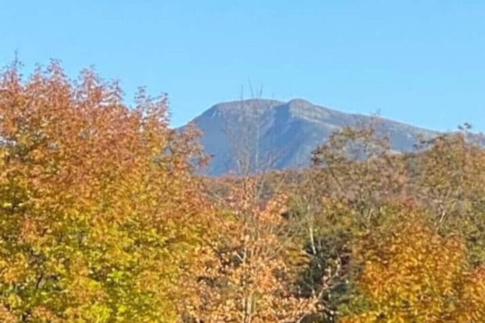 Photo of Outdoor in Westford