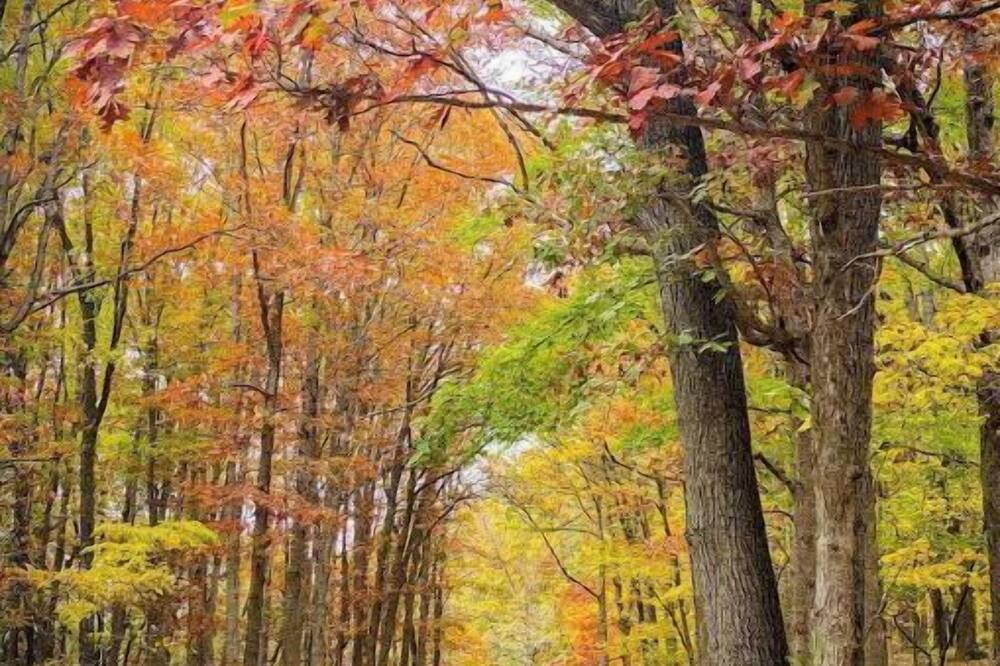 Photo of Outdoor in Lost River