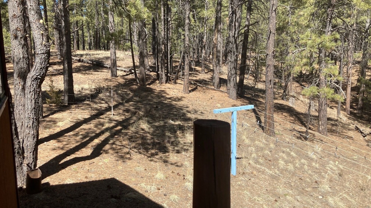 Photo of Outdoor in Jemez Springs
