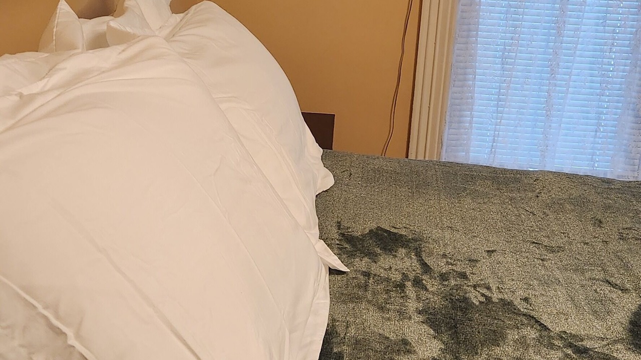 Photo of Bedroom in Menomonie