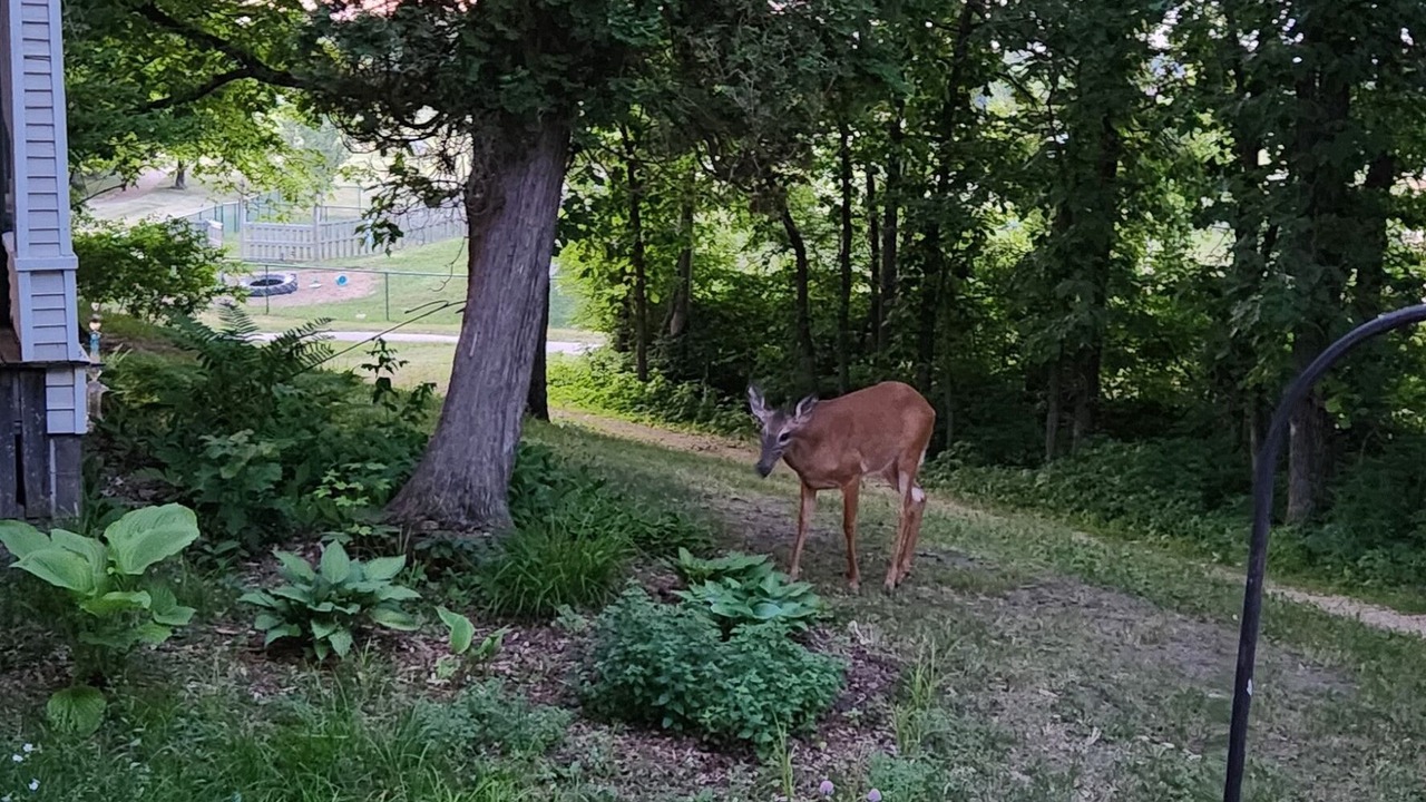 Photo of Outdoor in Menomonie