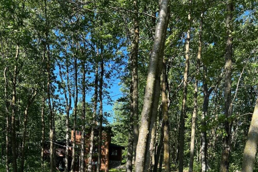 Photo of Outdoor in Cumberland