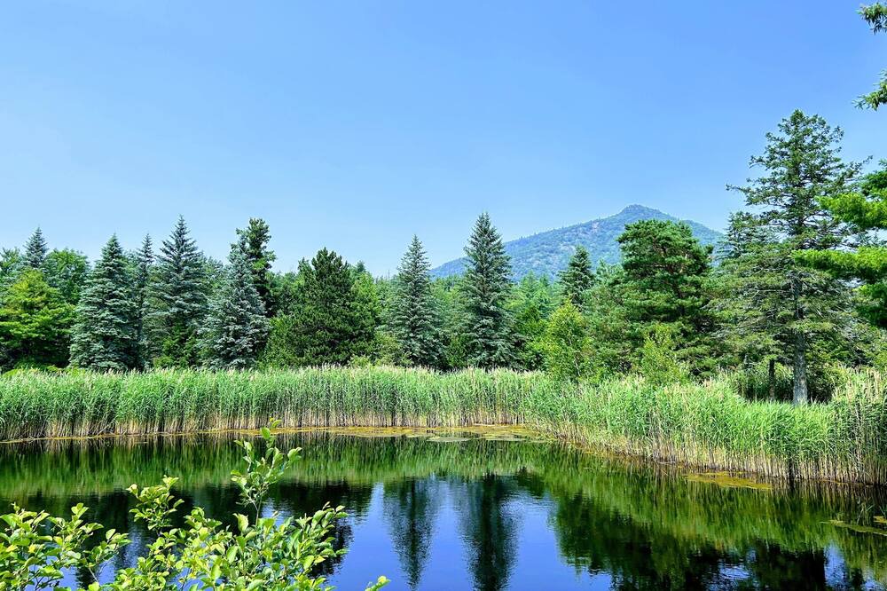 Photo of Outdoor in Jay