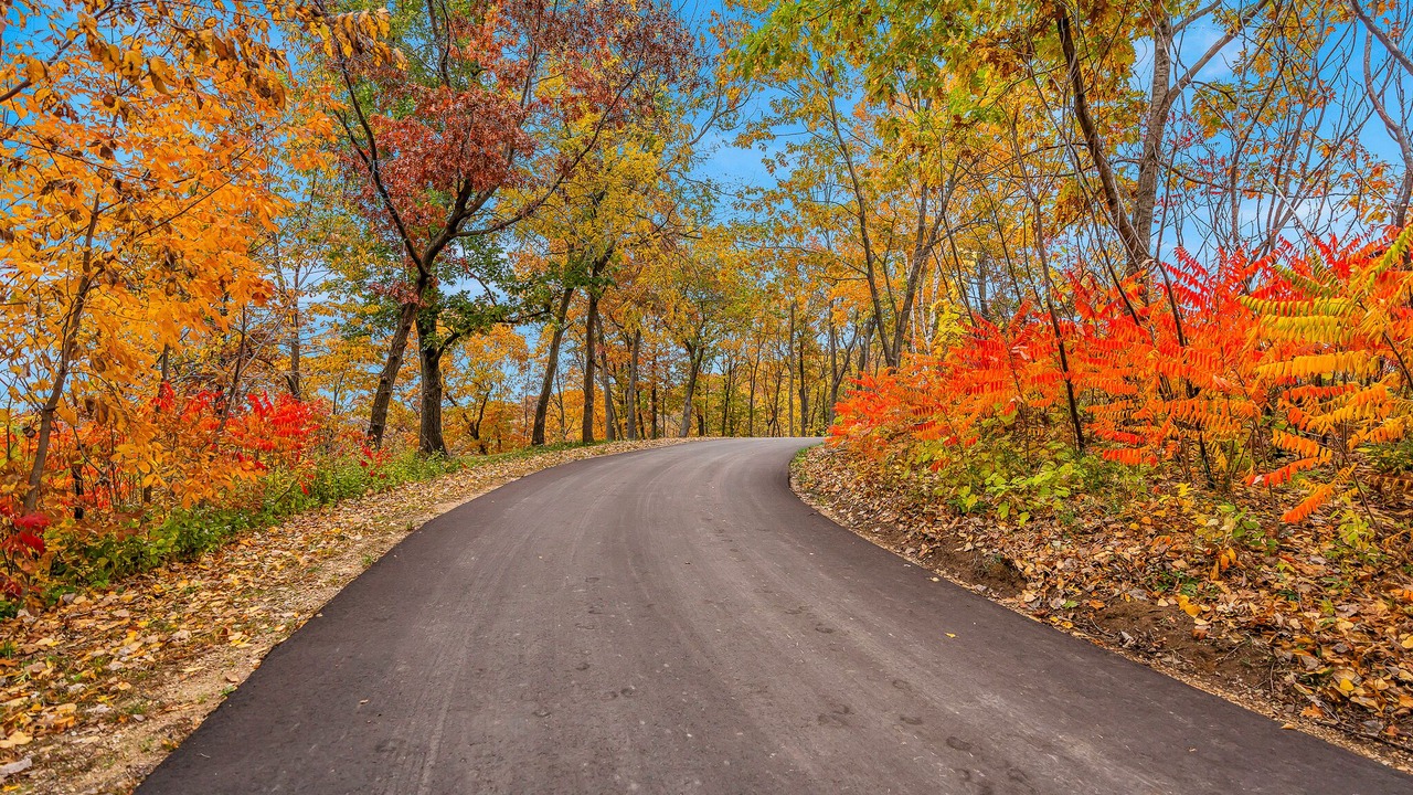 Photo of Outdoor in De Soto
