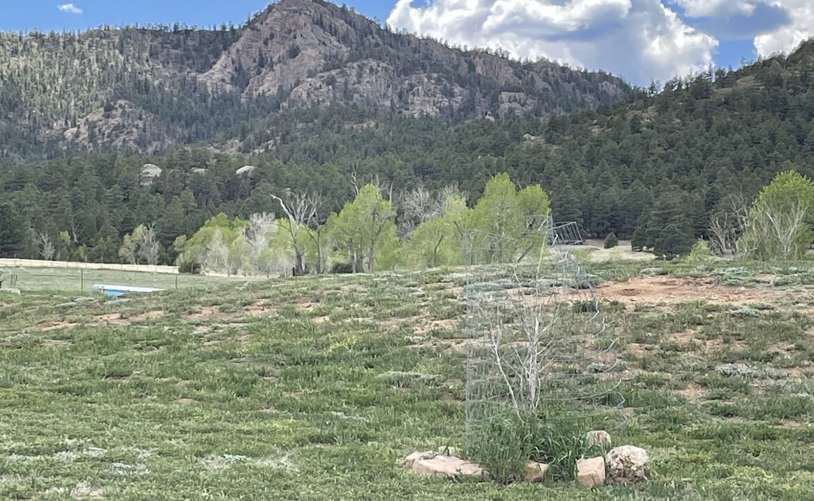Photo of Outdoor in Mora