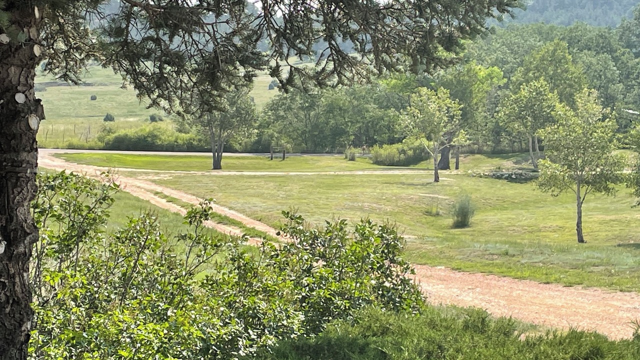 Photo of Others in Mora