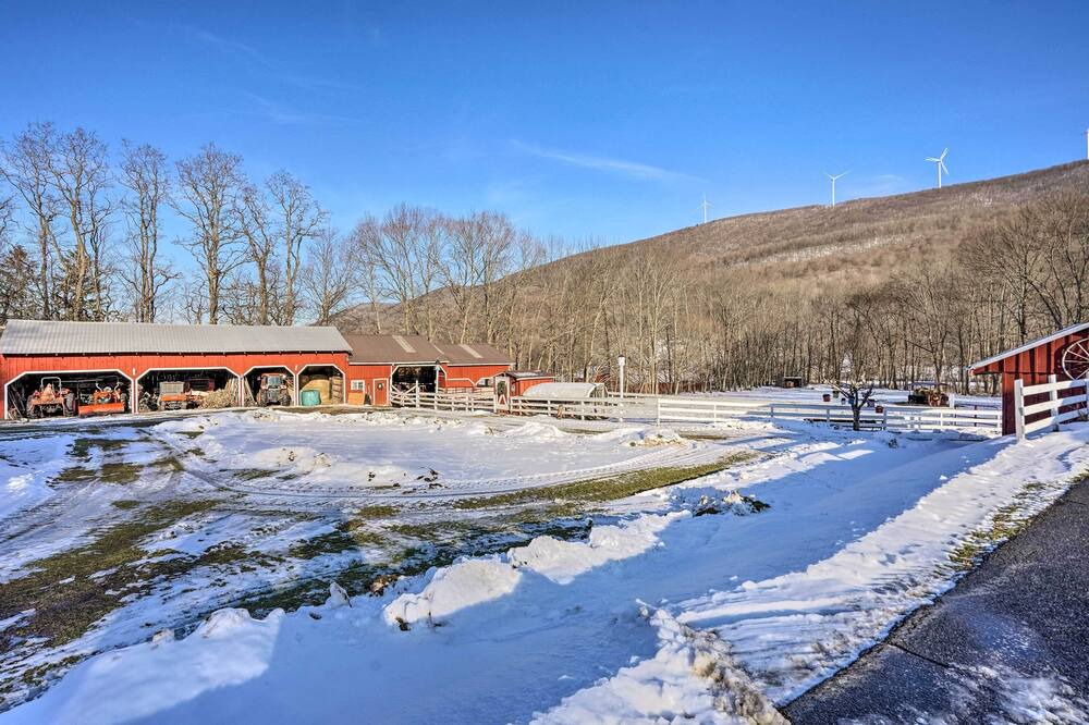 Photo of Outdoor in Williamstown