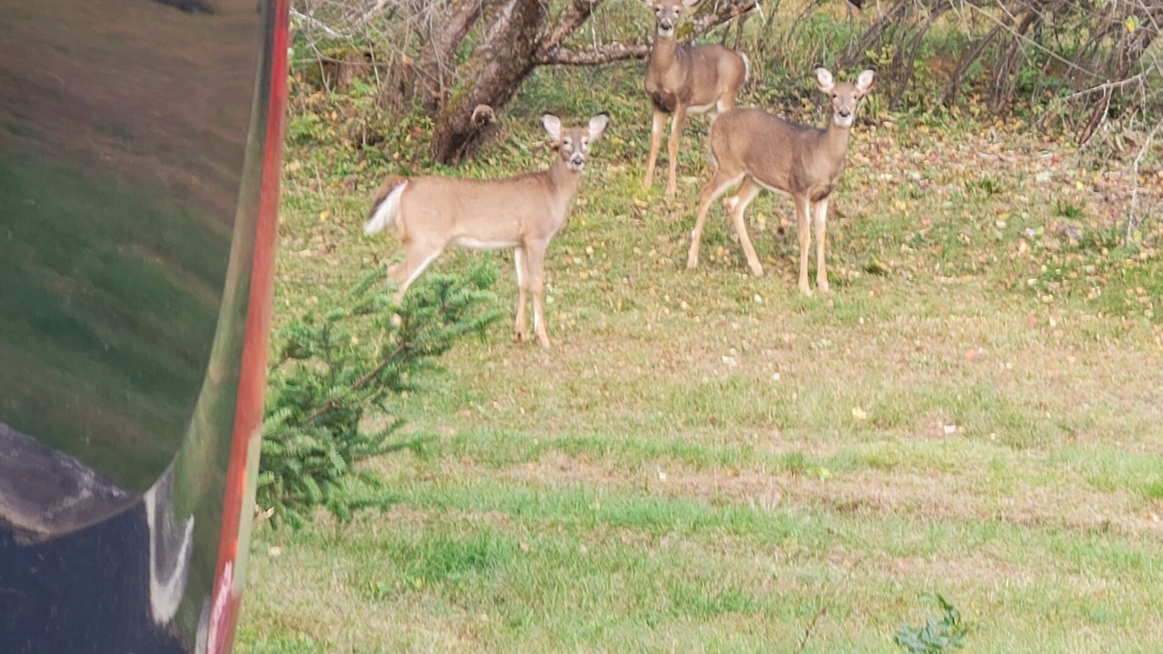 Photo of Outdoor in North Hudson