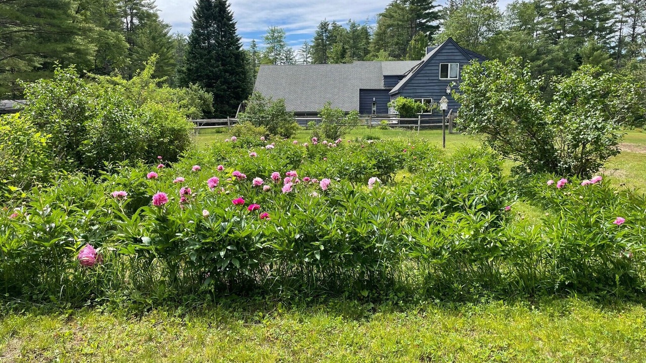Photo of Outdoor in North Hudson