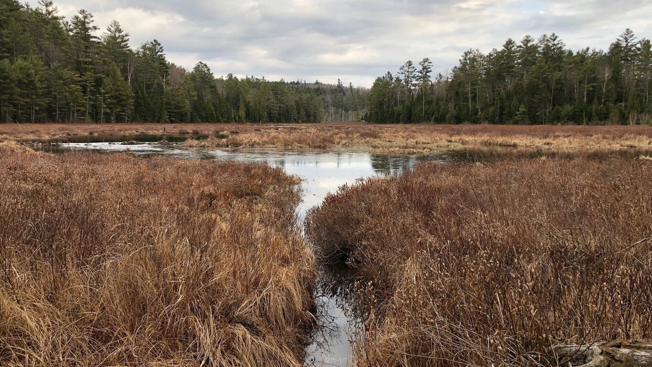Photo of Outdoor in North Hudson