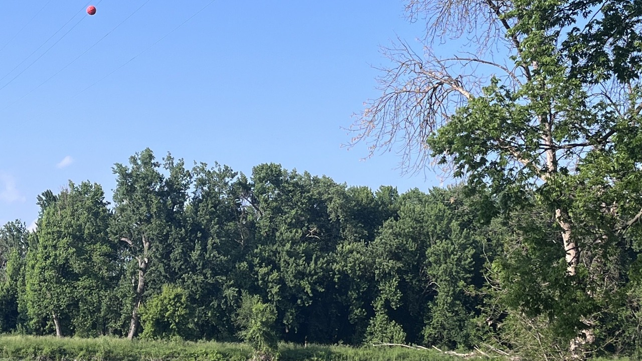 Photo of Others in Red Wing