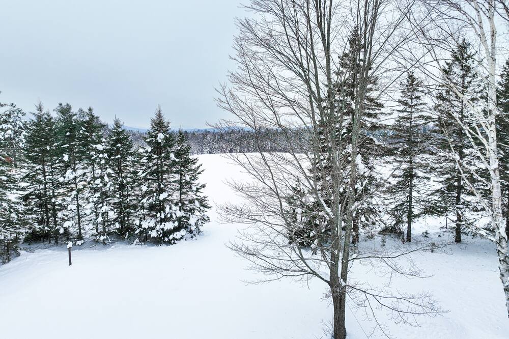 Photo of Others in Stratton