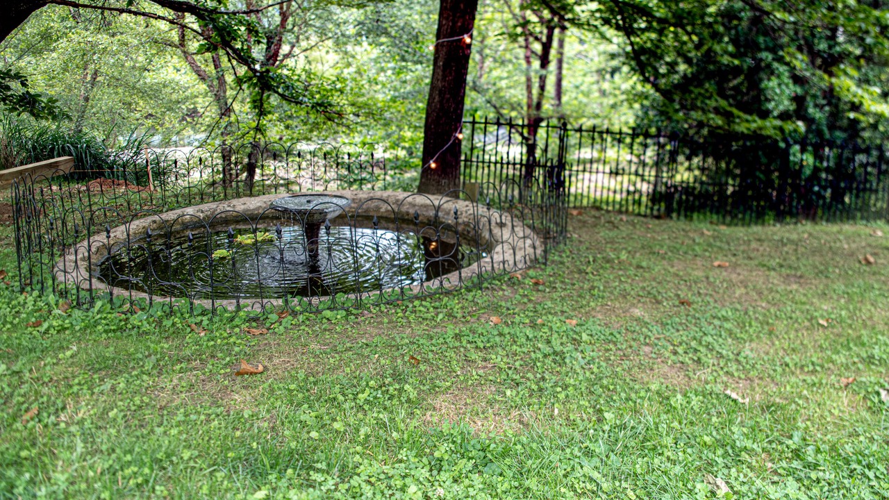Photo of Outdoor in Sutton