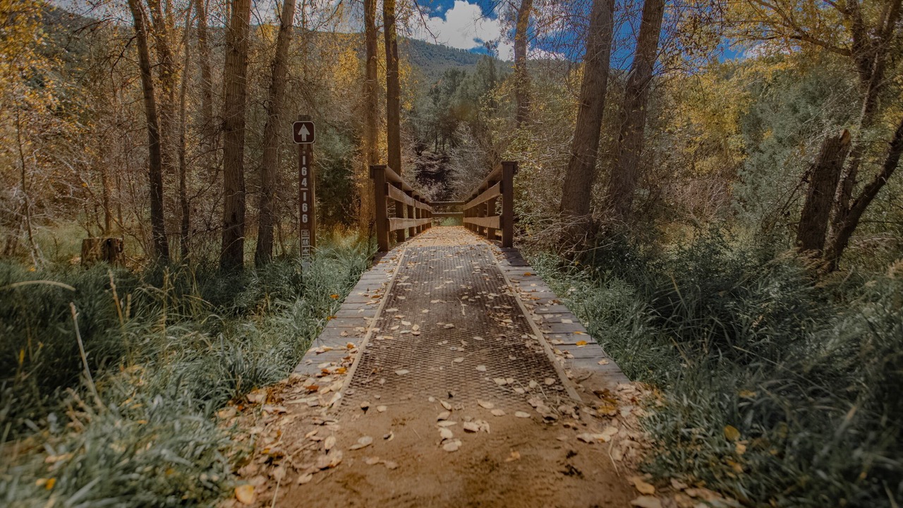 Photo of Others in Taos