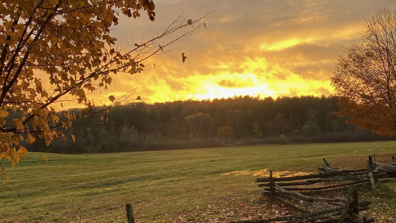 Photo of Outdoor in Norfolk