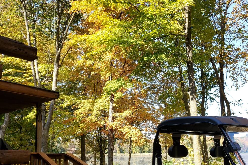 Photo of Outdoor in Luck