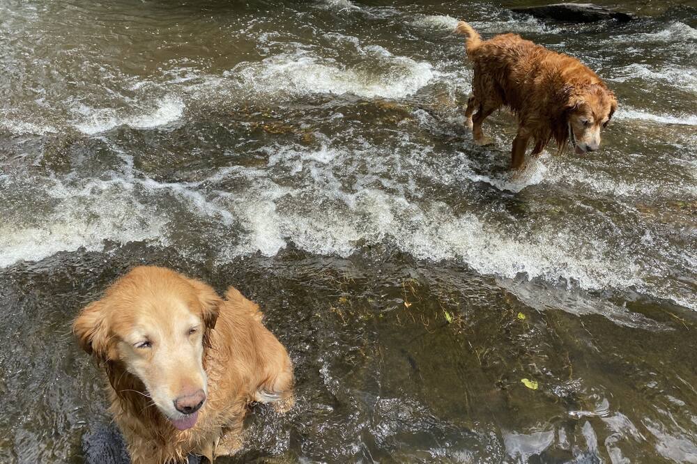 Photo of Outdoor in Schuyler Falls
